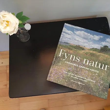 Krogsgaardens לינה וארוחת בוקר 3*