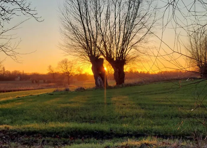 Bed & Breakfast Krogsgaardens Odense